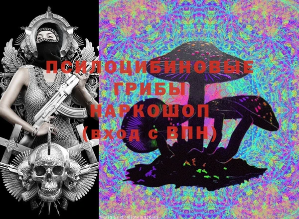 мяу мяу мука Коряжма